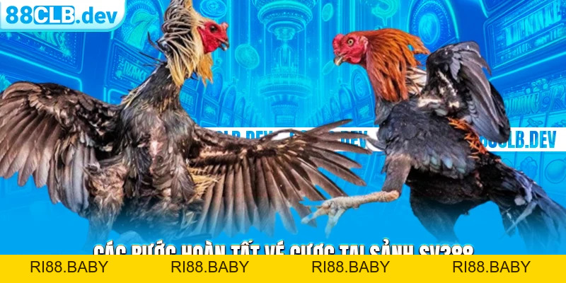 Đá Gà SV388 | Không Gian Cá Độ Ăn Tiền Xanh Chín 2026 - ri88