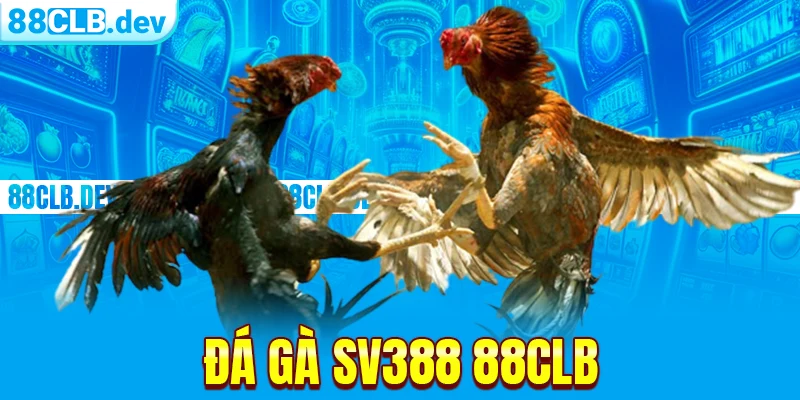 Đá Gà SV388 | Không Gian Cá Độ Ăn Tiền Xanh Chín 2026 - ri88