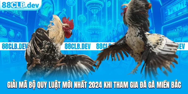 Luật Đá Gà Miền Bắc | Quy Tắc Chung Cho Các Trận Đấu 2026 - ri88
