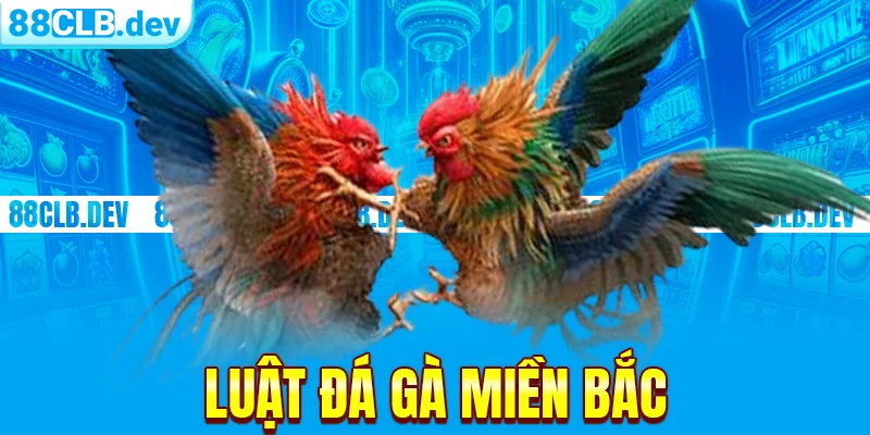 Luật Đá Gà Miền Bắc | Quy Tắc Chung Cho Các Trận Đấu 2026 - ri88