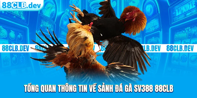 Đá Gà SV388 | Không Gian Cá Độ Ăn Tiền Xanh Chín 2026 - ri88