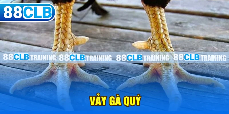 Tổng Hợp Những Vảy Gà Quý Được Kê Thủ Săn Đón Nhất Hiện Nay - ri88
