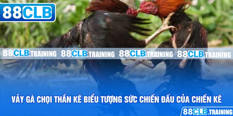 Vảy Gà Chọi Thần Kê Mang May Mắn Và Tài Lộc Cho Người Chơi - ri88