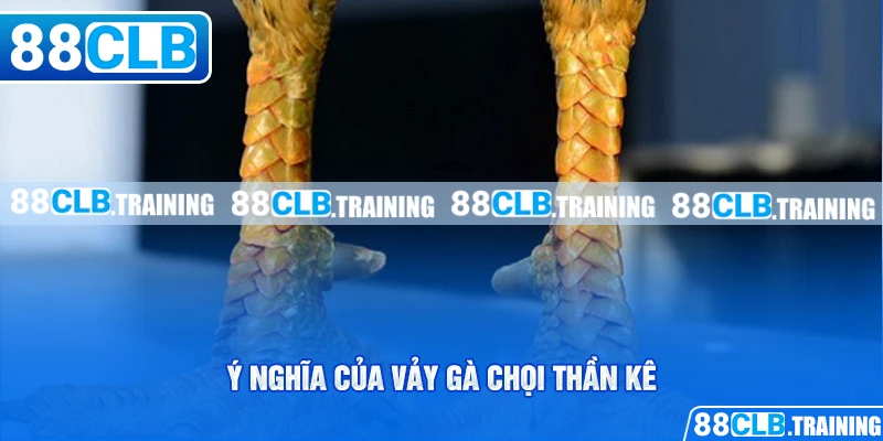 Vảy Gà Chọi Thần Kê Mang May Mắn Và Tài Lộc Cho Người Chơi - ri88
