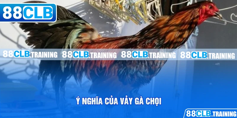Cách Xác Định Vảy Gà Chọi Đơn Giản Cho Người Chơi Mới - ri88