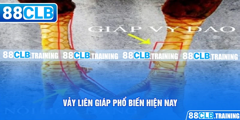 Vảy Liên Giáp Là Gì? Tìm Hiểu Thông Tin Về Loại Vảy Hiếm Gặp - ri88