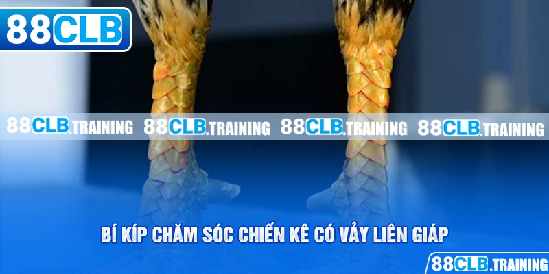 Vảy Liên Giáp Là Gì? Tìm Hiểu Thông Tin Về Loại Vảy Hiếm Gặp - ri88