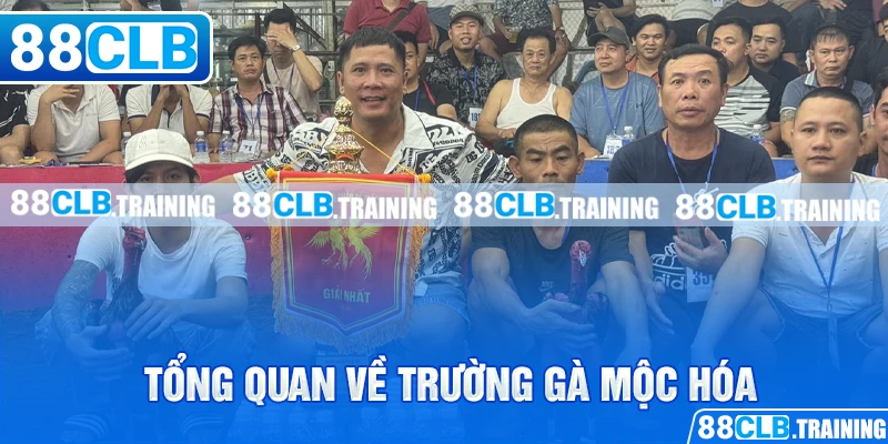Trường Gà Mộc Hóa – Nơi Hội Tụ Những Trận Đấu Hấp Dẫn - ri88