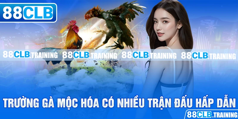 Trường Gà Mộc Hóa – Nơi Hội Tụ Những Trận Đấu Hấp Dẫn - ri88
