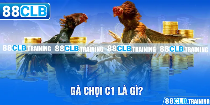 Gà Chọi C1 - Trận Đấu Của Những Chiến Kê Dũng Mãnh, Thiện Chiến - ri88