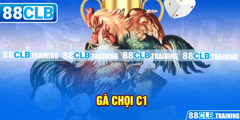 Gà Chọi C1 - Trận Đấu Của Những Chiến Kê Dũng Mãnh, Thiện Chiến - ri88
